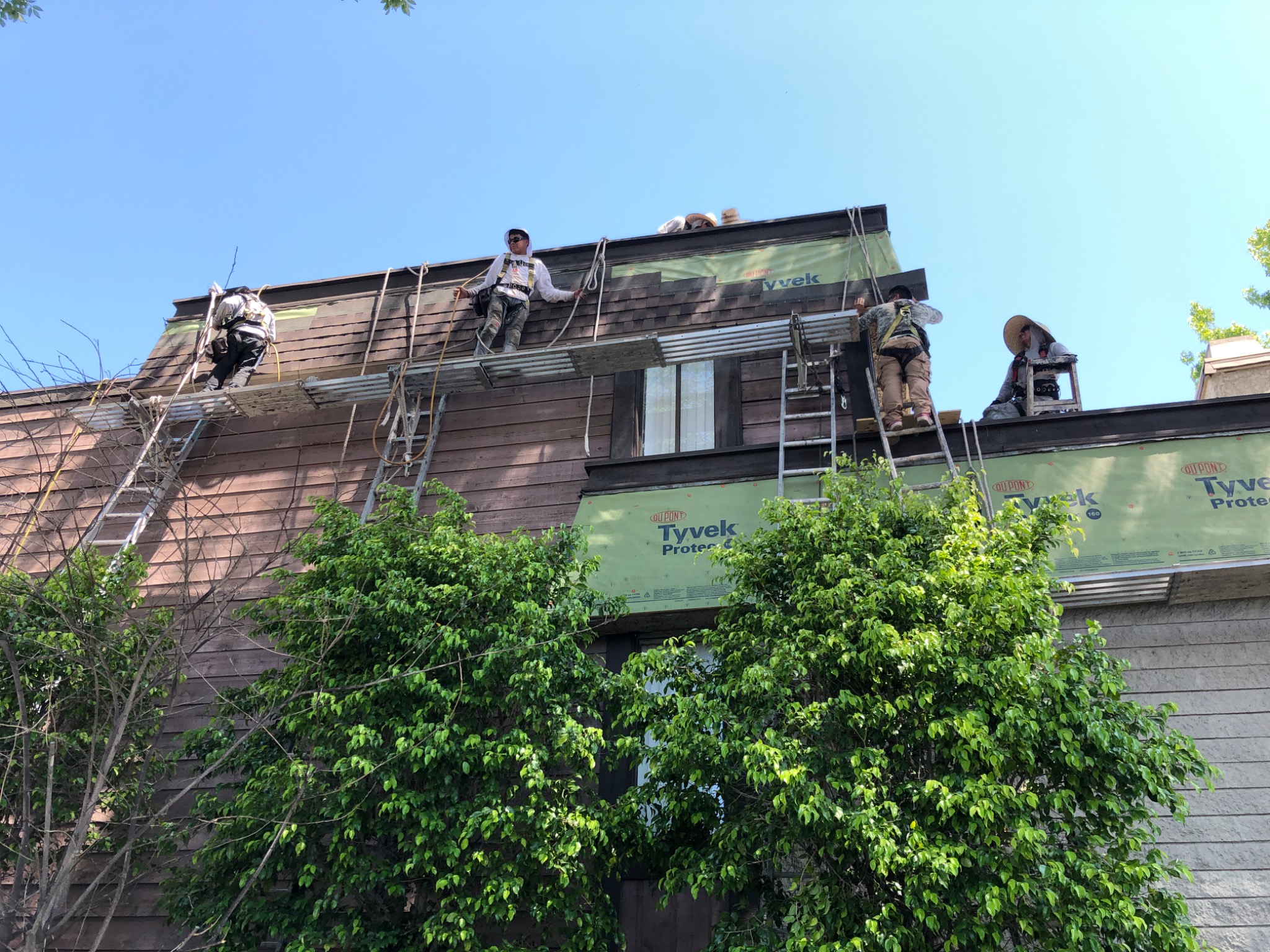 Crew installing exterior siding at height